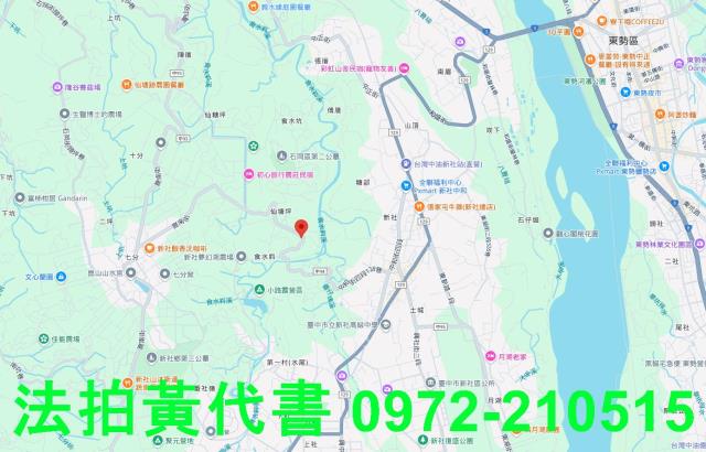 新社拍賣山坡地-8