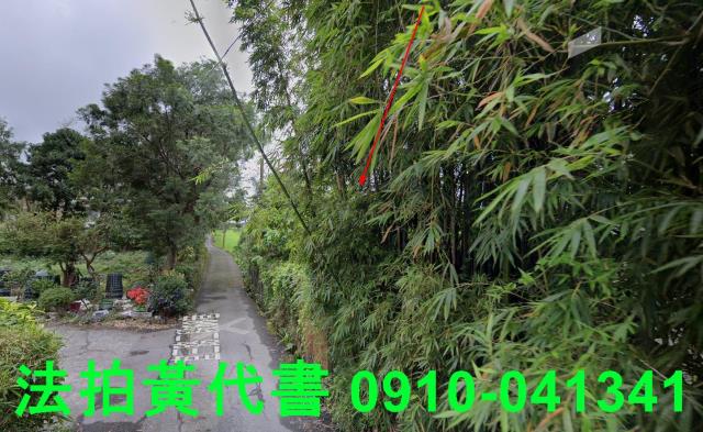 頭城法拍建地-12