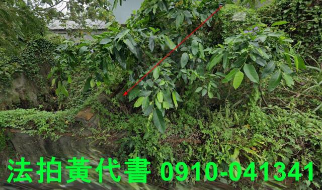 頭城法拍建地-9