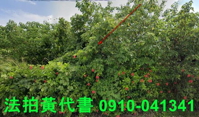 台南法拍農地-9