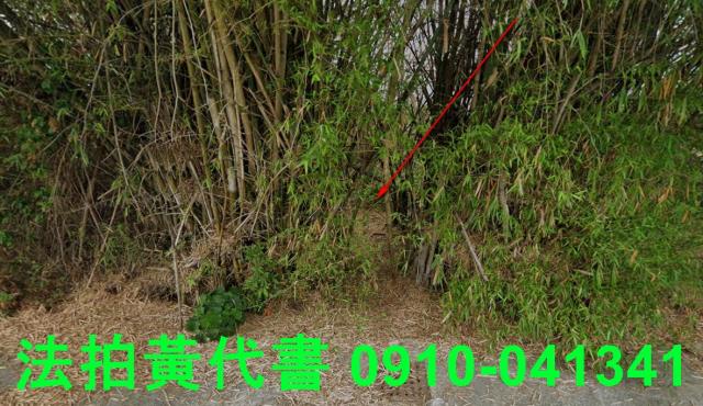 嘉義溪口建地法拍-9