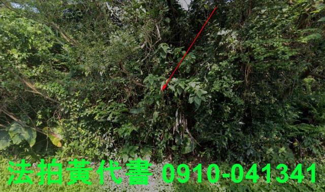 新北石門法拍農地-9