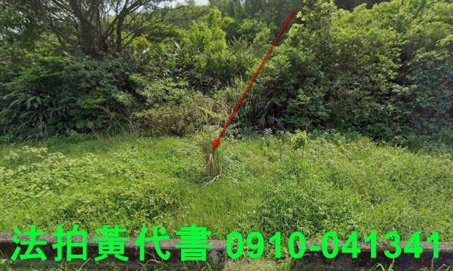 新北石門農地拍賣-9