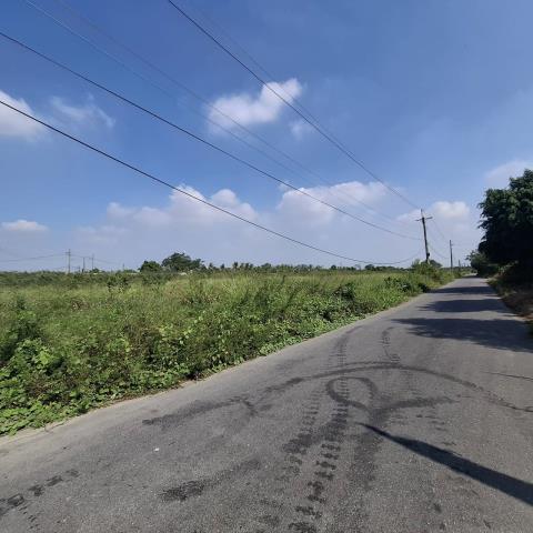 台南新市農地-7