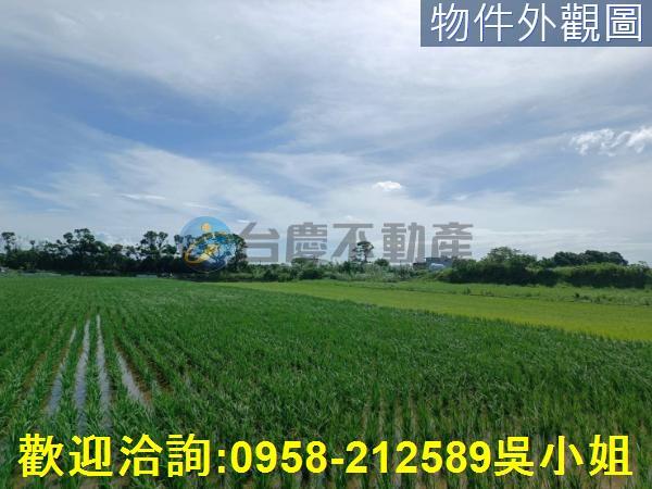 新竹新豐農地-2