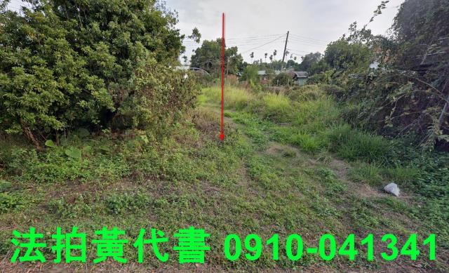 東區農地法拍-9