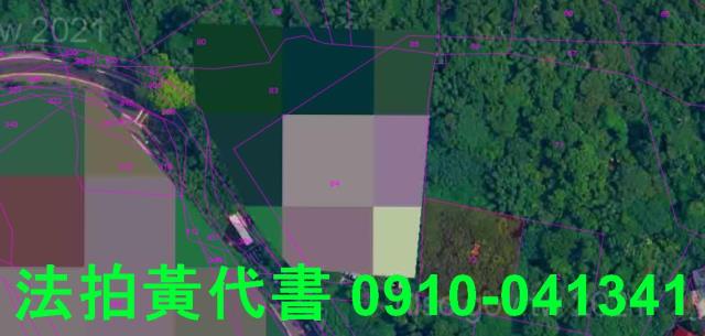 士林建地法拍-3