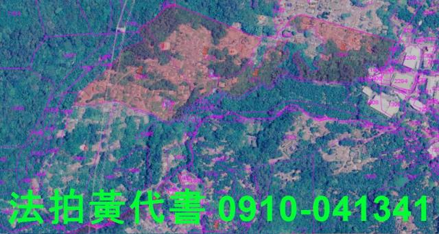 新北八里休閒地法拍-11