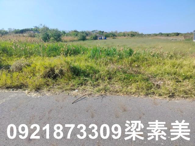 台南安南建地-4