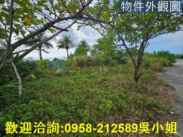 新竹湖口農地-1