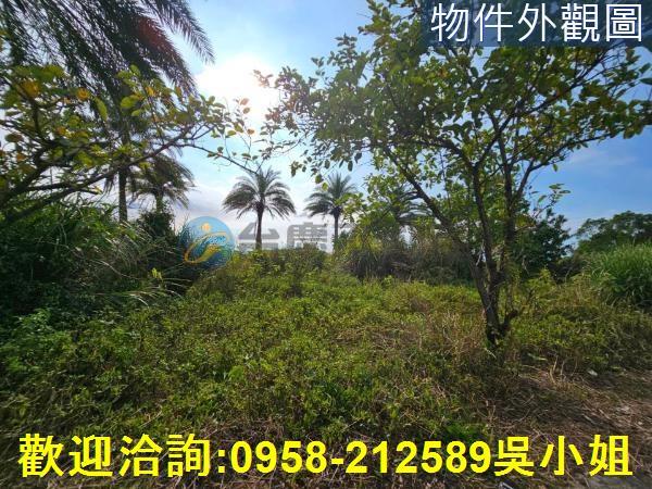 新竹湖口農地-2