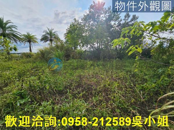 新竹湖口農地-3