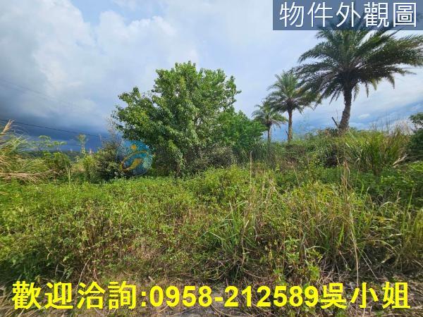 新竹湖口農地-4