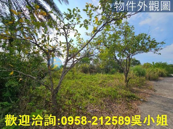 新竹湖口農地-5