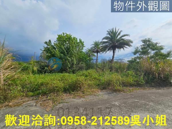 新竹湖口農地-7