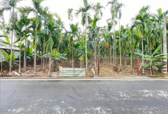 屏東竹田農地-2