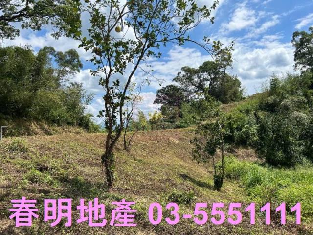 新竹峨眉農地-5