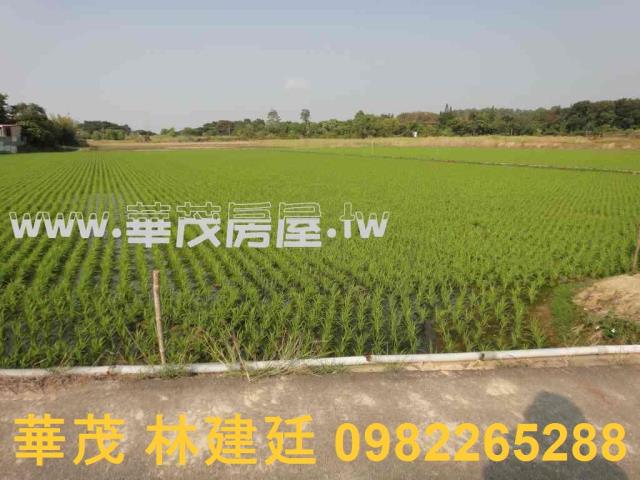 關廟農地法拍-3