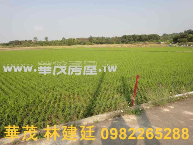 關廟農地法拍-9