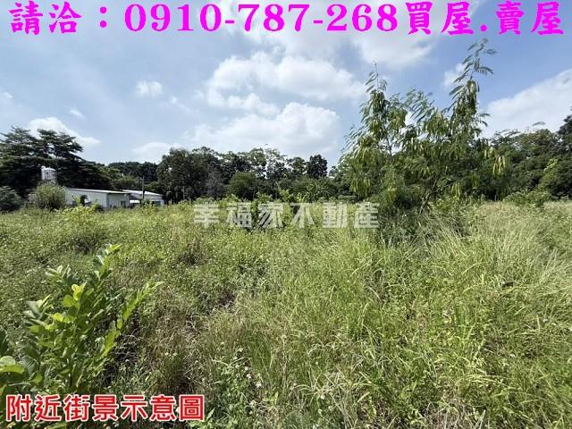 台南農地-6