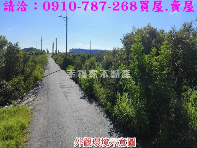 台南農地-10