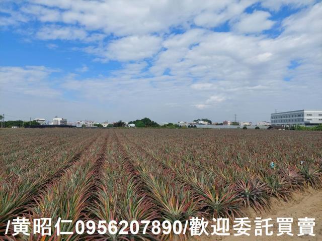 台南山上農地-3