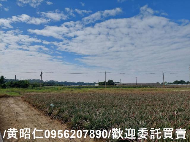 台南山上農地-5