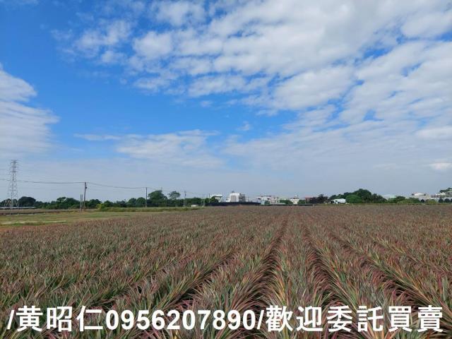 台南山上農地-6