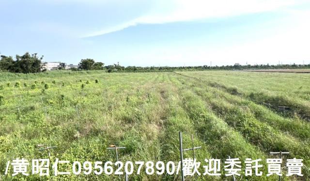 台南將軍農地-5