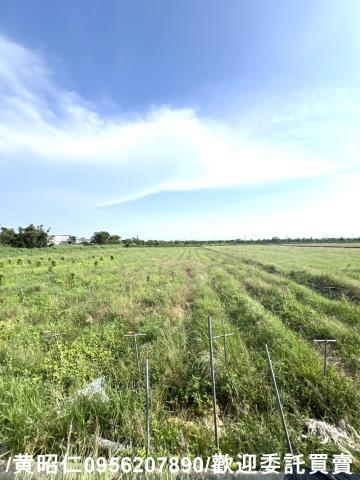 台南將軍農地-7