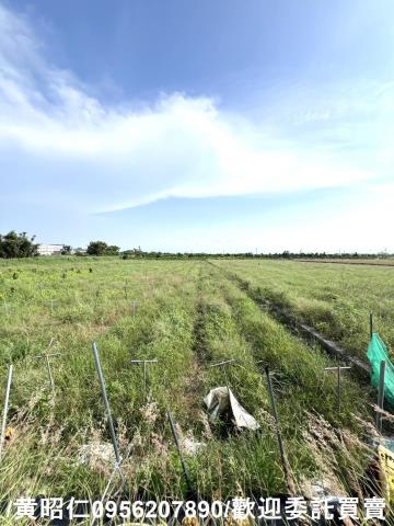 台南將軍農地-8