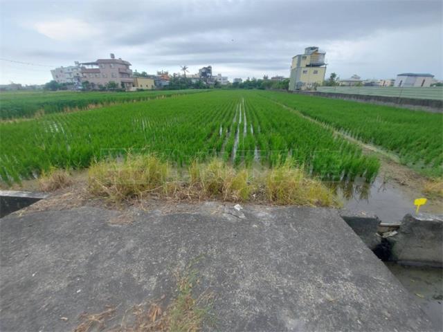 高雄橋頭農地-2