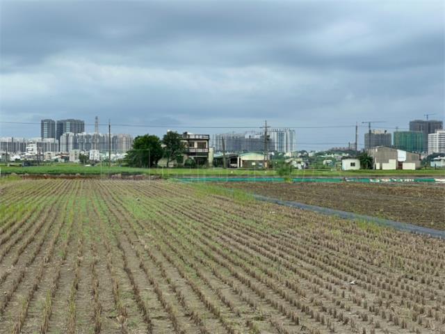 高雄橋頭農地-5