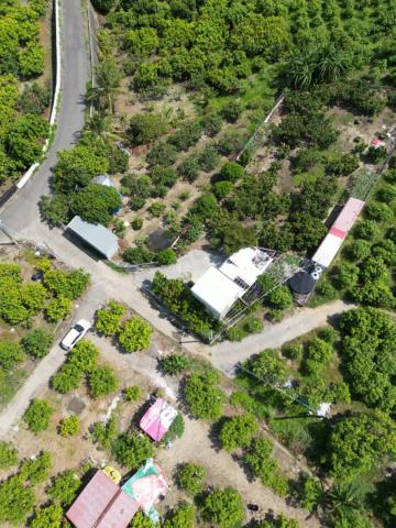 台南玉井農地-13