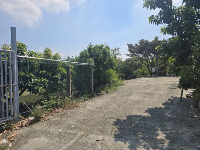 台南玉井農地-6