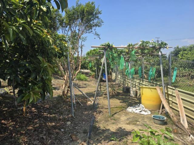 台南玉井農地-8