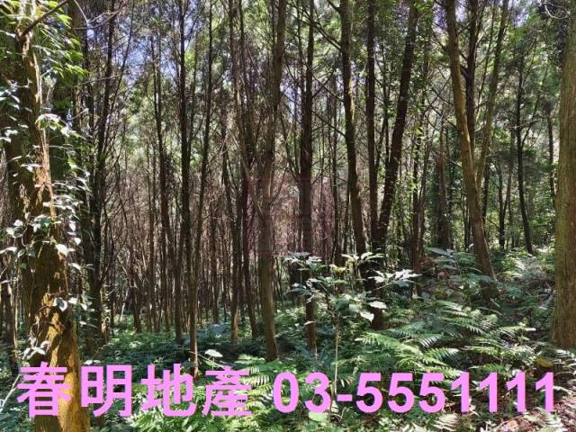 新竹橫山農地-2