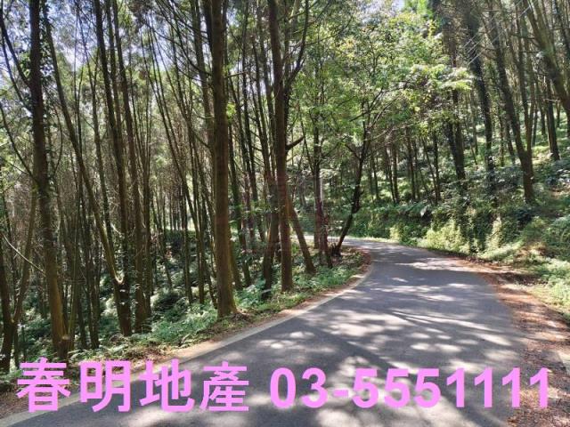 新竹橫山農地-6