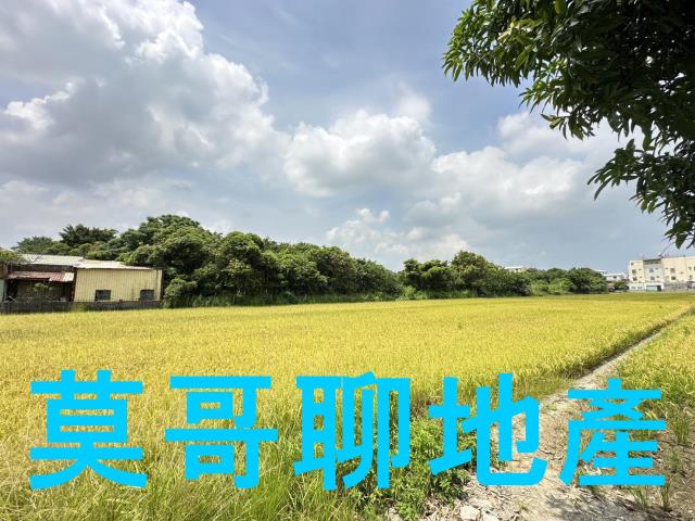 彰化市農地-4
