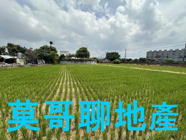 潭子農地-1