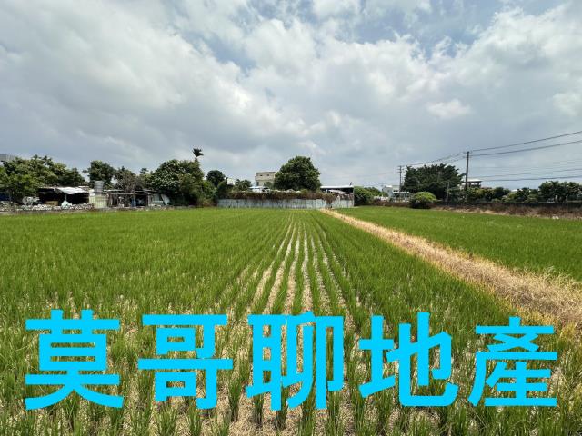 潭子農地-3