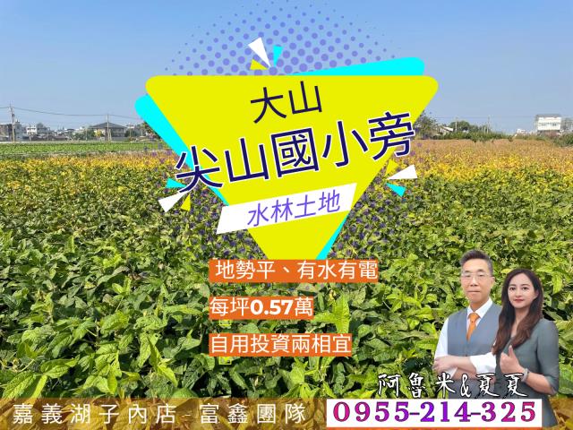 雲林水林農地-1