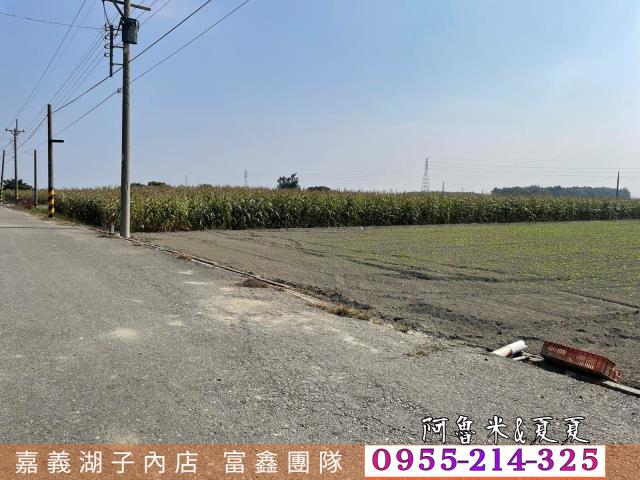 雲林水林農地-2