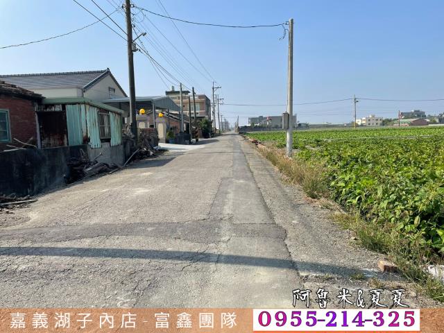 雲林水林農地-4