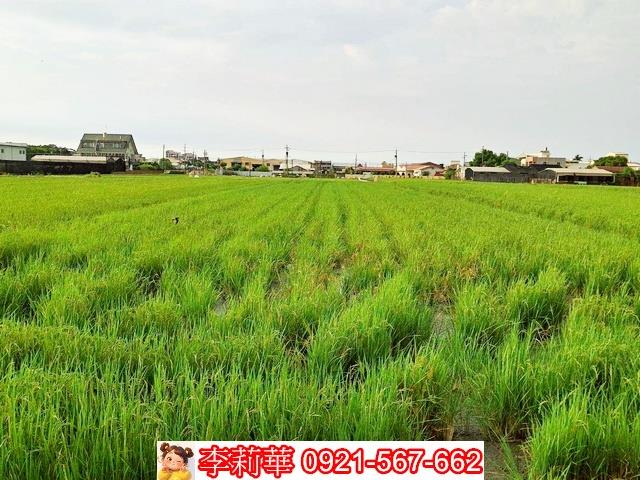 台南歸仁農地-4