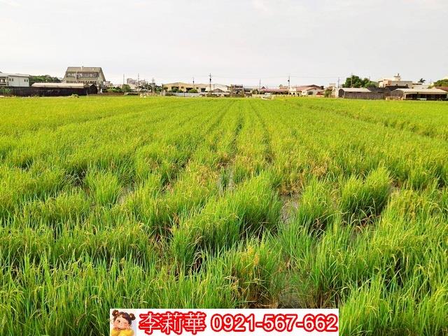 台南歸仁農地-5