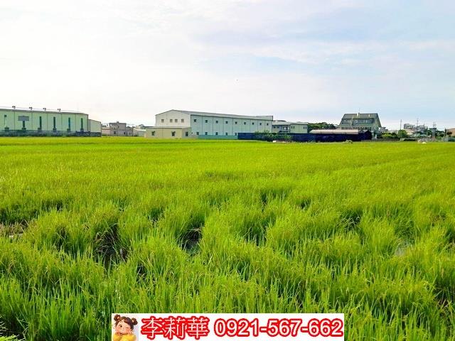 台南歸仁農地-6