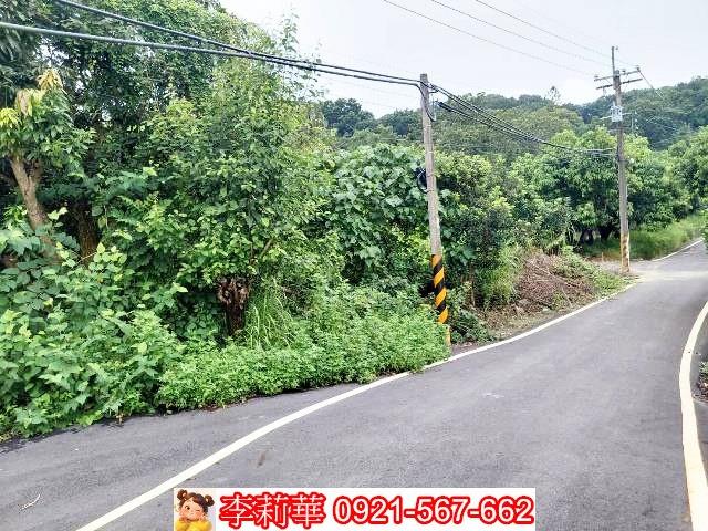 台南新化農地-2