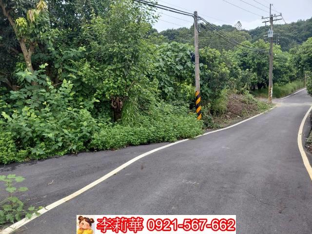 台南新化農地-4