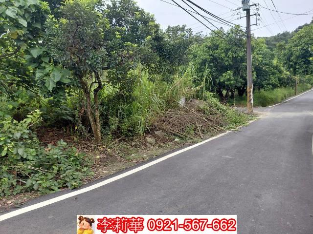 台南新化農地-5